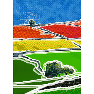 Shapes and Lines in a Landscape